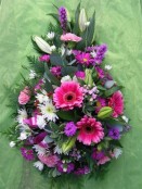 Pink and Purple Single Ended Spray