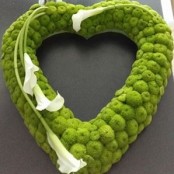 open heart
