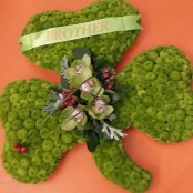 Shamrock Tribute