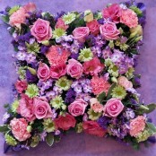 pink and lilac cushion