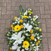 Yellow and White Coffin Spray.